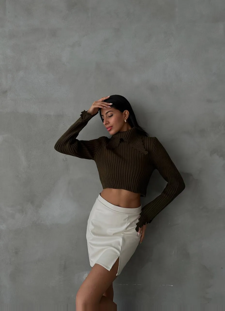 Strick Crop Rollkragen Pullover